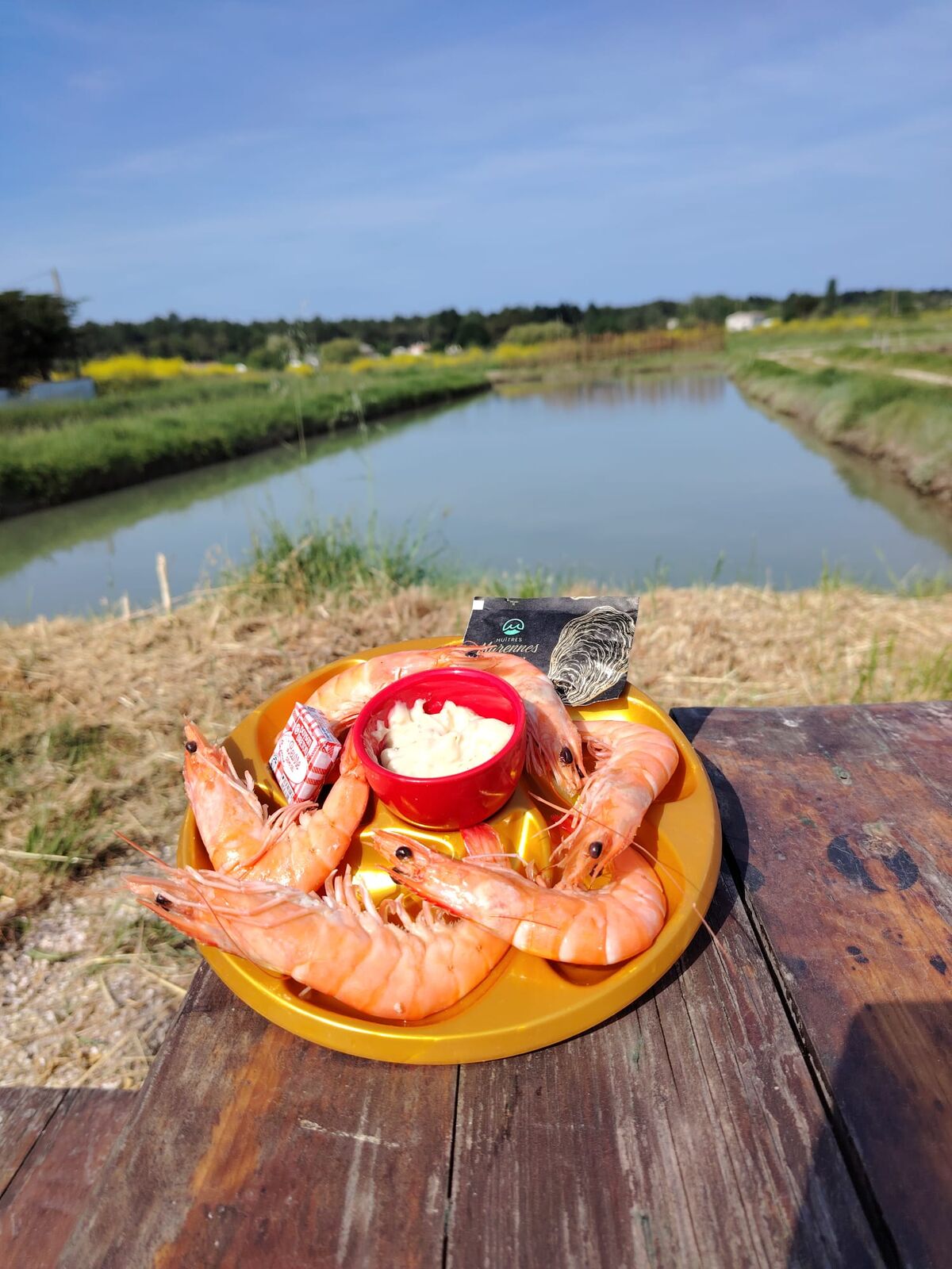 Une assiette de crevettes et sa mayonnaise, sur une table au bord d'une claire